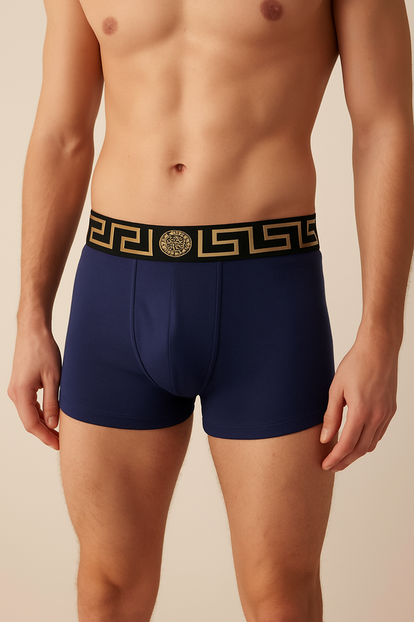 Boxer